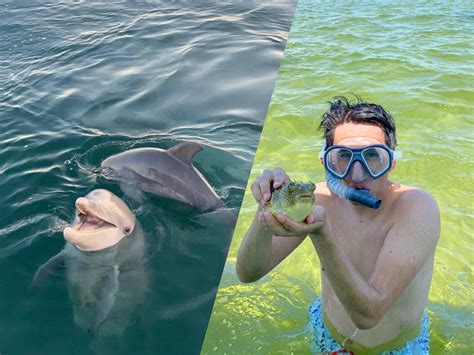 Salty mary dolphin and snorkel tours  Panama City Beach